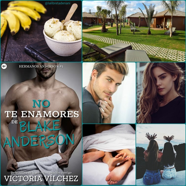 No te enamores de Blake Anderson (Hermanos Anderson 1) (Spanish  Edition) eBook : Vílchez, Victoria: Kindle Store